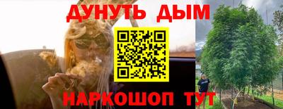 apvp Кандалакша