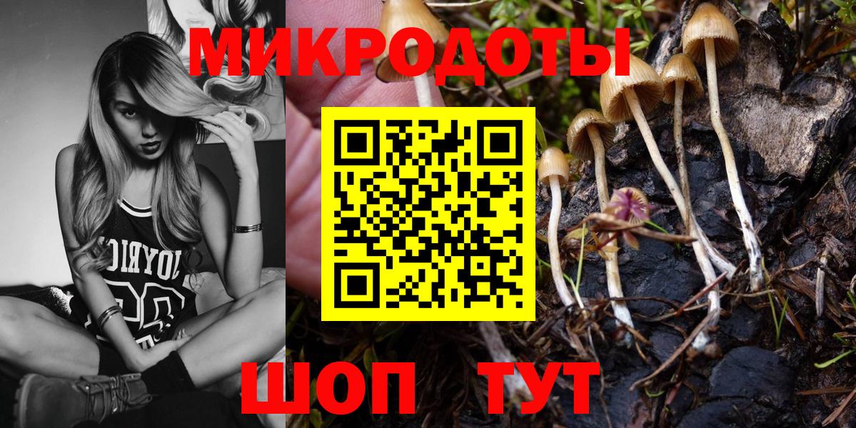 Галлюциногенные грибы Psilocybe Красноармейск
